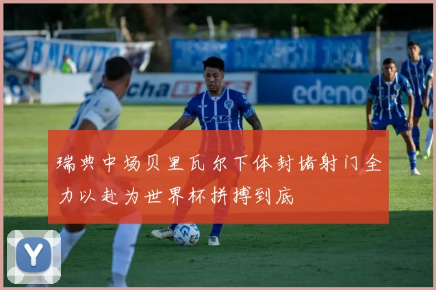 瑞典中场贝里瓦尔下体封堵射门全力以赴为世界杯拼搏到底